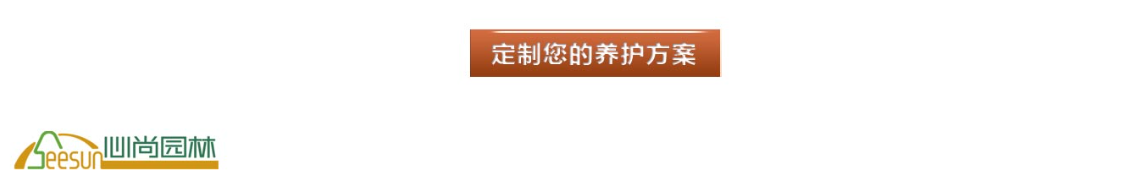 恒峰g22 - 官网入口 -- 天天有惊喜